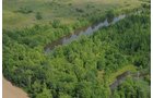 Property photo 28 - 1,025 Acres in 24 Tracts - Exellent Recreation Opportunity - Potential Building Sites - 11 Lakes & Ponds
